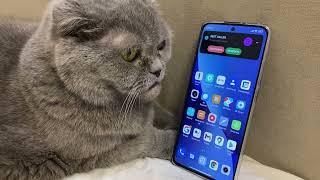 INCOMING CALL TO MY CAT PET PICKED UP THE PHONE XIAOMI 12