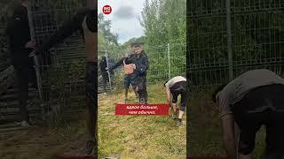 Во время выборов в Польше зафиксировали рекорд мигрантов на границе с Беларусью