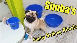 Simba's Funny Bath Day | Tantrums, Zoomies, Sleepies 