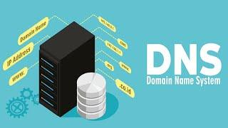 DNS query simplified (Basics)