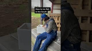 How Southerners Ice Fish