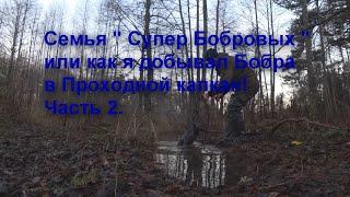 Семья " Супер Бобровых" или Очень умные Бобры! Как я добывал Бобра в Проходной капкан! Часть 2.