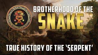 Brotherhood of the Snake