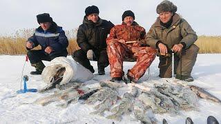 РЫБАЛКА В ТУРГАЕ, ЗВЕНЕЛИ ЛЕСКИ И РЕЗАЛИ РУКИ, ФЛАЖКИ ГОРЕЛИ, А МЫ БЕГАЛИ КАК ЗАВЕДЁННЫЕ, ЖОР ЩУКИ!