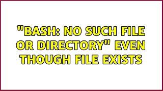 Ubuntu: "bash: No such file or directory" even though file exists (2 Solutions!!)