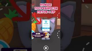 Новые потребности у питомцев!Pets needs update Adopt Me