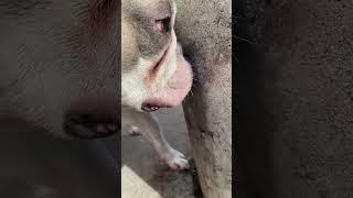 ￼ concrete post inspection therapy ￼