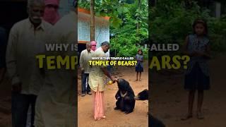 Did you know? Group of bears also visits this temple in Chhattisgarh!!