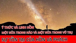 Ý thức và Linh hồn: Một nửa trong não và một nửa ở trong vũ trụ! - Vạn vật giác ngộ