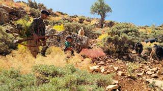 They Took the Goats to the Mountains… And Discovered Nature’s Treasures 