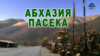 Абхазия. Пасека Медовый двор. Экскурсия. Дегустация. DIY & DACHA. LIVE & TRAVEL. №24