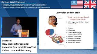 How Mental Stress and Vascular Dysregulation Affect Vision Loss and Recovery (English Version)