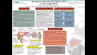 Intrahepatic Cholestasis of Pregnancy (ICP) and its Complications, Jeffrey Lowell, MD