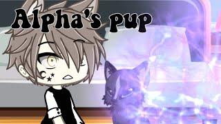 Alpha's pup [Full Episode~Gacha Life] ( Read desc )