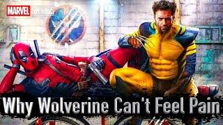 Why Wolverine Can't Feel Pain (At Least In Real Life)