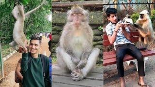 Monkey Funny TikTok video | It will make you laugh 