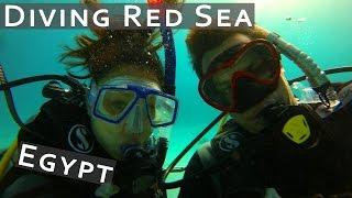 TRAVEL || Dive Abu Hasheesh | Hurghada