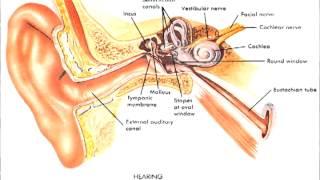 Ear ringing sound effect