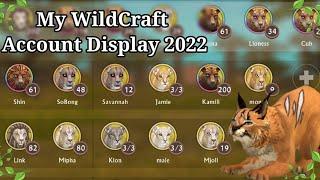 WildCraft ( ALL OF MY LEVEL 200s) Account display 2022~