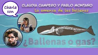 La amenaza de las ballenas