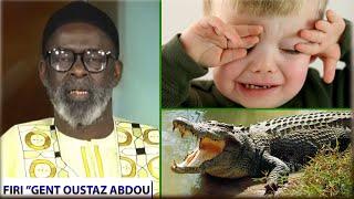 ️Urgent: Firi Guent - Youni Sadoum di ndore sa dome Kou guent  Voir un crocodile au cours d'un.....