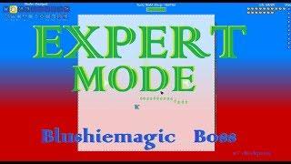 Blushiemagic Boss EXPERT MODE Beaten! (with checkpoint) || Terraria Elements Unleashed Mod