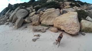 Paseando por la playa con Nene
