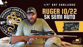 Ruger 10/22 With SK Semi Auto (Day at the Range - dot challenge)