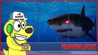 PSYCHO SHARK Wants REVENGE! Roblox AQUARIUM Story