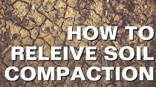 How to Relieve Compacted Soil