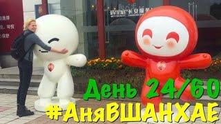 #АняВШАНХАЕ!  День 24 из 60 | Аня Гресь VLOG | Anya Gres