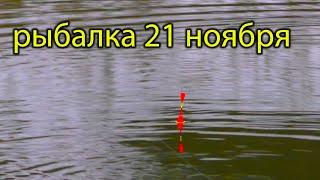 РЫБАЛКА  21 НОЯБРЯ НА РЕЧКЕ