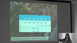 Integrating Genetics and Ecology into Restoration Practice for Chesapeake Bay Seagrasses