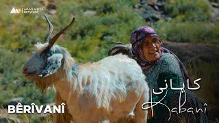 Kabanî - Bêrîvanî | کابانی - بێریڤانی