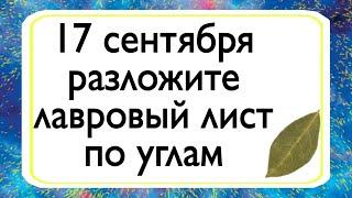 17 сентября обязательно разложите лавровый лист по углам. | Тайна Жрицы |