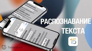 Распознавание текста по фото iOS 15/как скопировать текст с фото iOS 15?