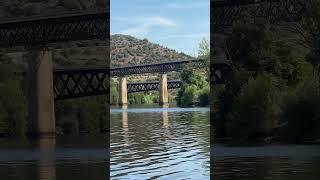 RIVER DOURO BRIDGE ПРОГУЛКА ПО РЕКЕ ДОРУ ПОРТУГАЛИЯ #shorts #river #douro #portugal #река #мост