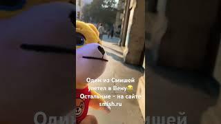 #smish #медвежонок #смиш