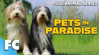 Pets In Paradise (23/26) | Season 2 Episode 10: Doggy Weight Loss | Full Animal Pet Dog TV Show | FC