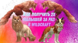  как получить 2 малыша за раз в WILDCRAFT 