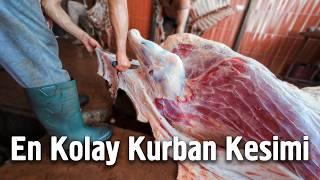 En Kolay Kurban Kesimi