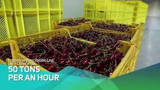 Shamkir Agropark film 3 minute  ENG