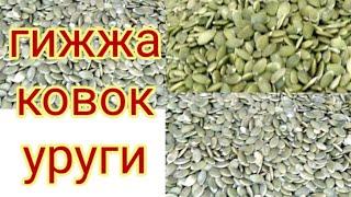 Гижжаларни ковок уруги ёрдамида йукотиш/ковок уругидан тугри фойдаланиш