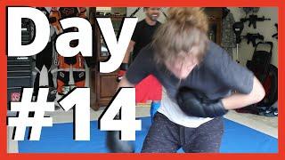  #14 Sparring Diary - MMA, Wing Chun, JKD, Karate, Taekwondo, BJJ, and some other messy styles 