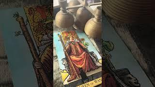 Celine Dion Tarot & Oracle #tarot #celinedion #celiondiontarot