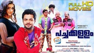 Pachakkallam Malayalam Movie | Malayalam Full HD Movie | Aqsa Bhatt | Maqbool Salman