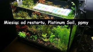 33.Akwarium 30l, Platinum Soil, ppmy, rośliny akwariowe - aktualizacja baniaczka
