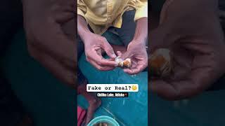 #gemstone #pearl  #lake #odisha
