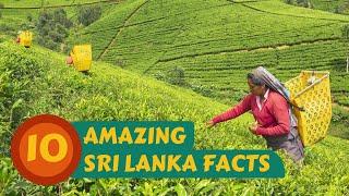 10 Amazing Sri Lanka Facts