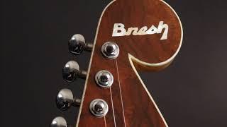 Leach Thom Bresh Legacy Guitar by Guitar Gallery